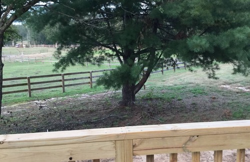 Tryon House | Adorable Cozy House Near Tryon Equestrian Center