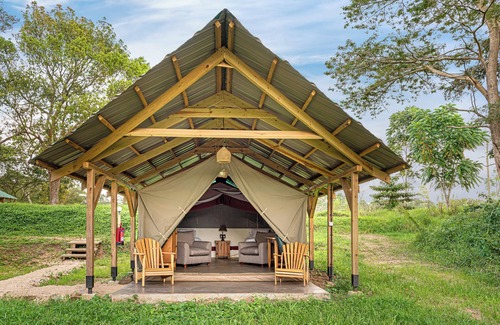 Mabira RV Rental | Adrift Overland Camp