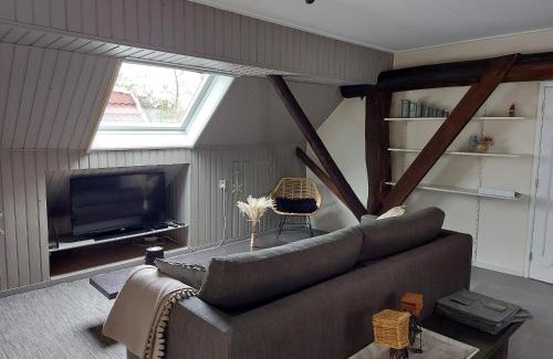 Appelscha Bed & Breakfast | Aekingahof