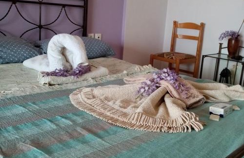 Molos House | Afrodite Lefkimmi Apartment 1
