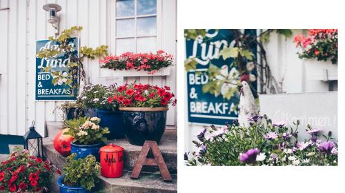 Kivik Bed & Breakfast | Agda Lund Bed & Breakfast