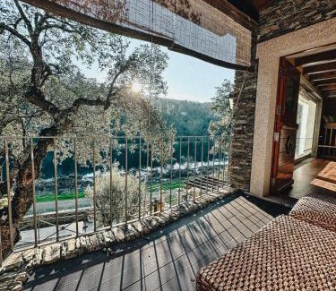 Castelo de Paiva House | Aguilhões River House