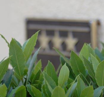 Bautzen Hotel | Akzent Hotel Residence Bautzen