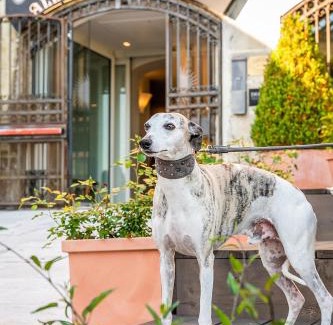 Asolo Hotel | Albergo Al Sole
