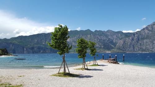 Campagnola Hotel | Albergo San Remo