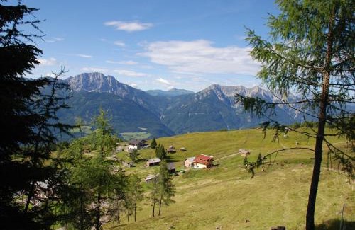 Berg im Drautal Hotel | Almhotel Fichtenheim