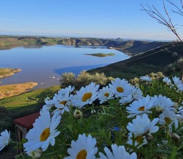 Almodovar del Rio House | Alojamiento Rural Mi Frasca