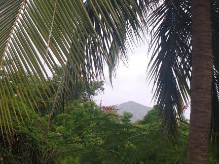 Tiruvannamalai House | Amazing 1BHK Near Ramana