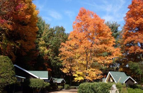 Lake George Hotel | Amber Lantern Motel