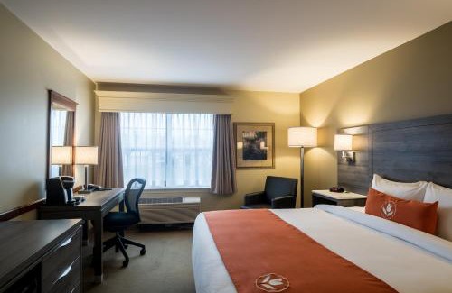 Moncton Hotel | Amsterdam Inn & Suites Moncton