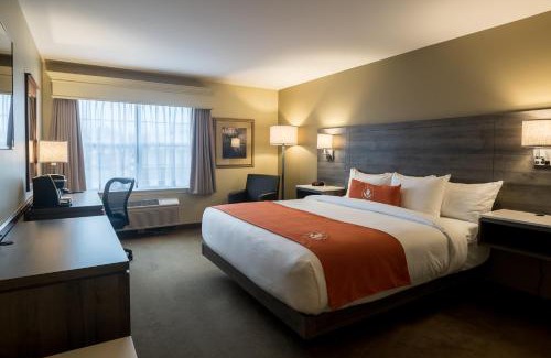 Moncton Hotel | Amsterdam Inn & Suites Moncton