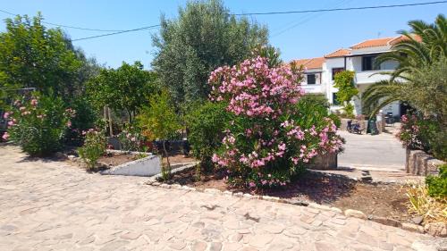 Anaxos Apartment | Anessis Cosmos