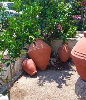 Anaxos Apartment | Anessis Cosmos