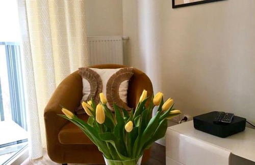West Pomeranian Voivodeship Apartment | Apartament 87