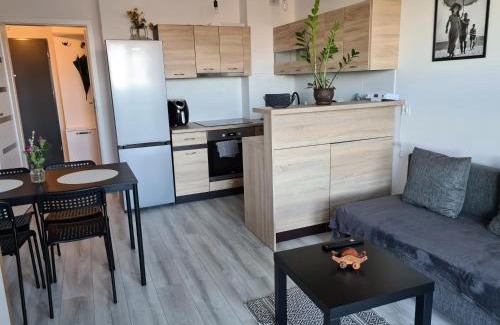 Biala Podlaska Apartment | Apartament Bema II