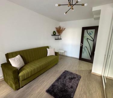 Craiova Apartment | Apartament Brazdă