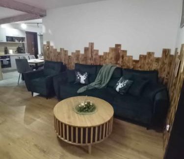 Brzegi Apartment | Apartament Góralski Duet 8-osobowy - apartament na wyłączność