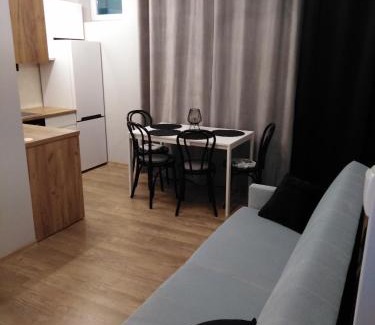 Sanok Apartment | Apartament JOANNA