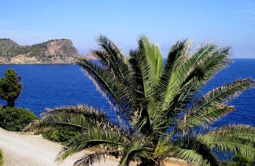Cala Llenya Resort | Apartamentos Club Cala Azul