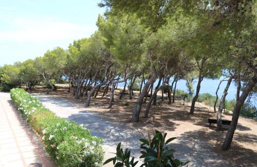 Cala Llenya Resort | Apartamentos Club Cala Azul
