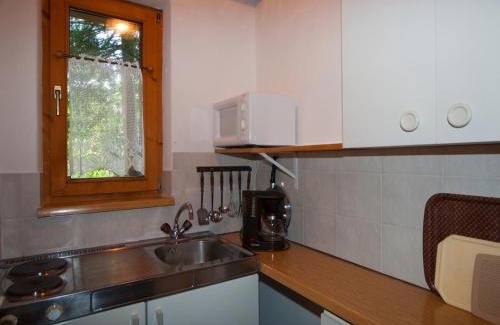 Kufstein Apartment | Aparthotel Buchauer-Tirol