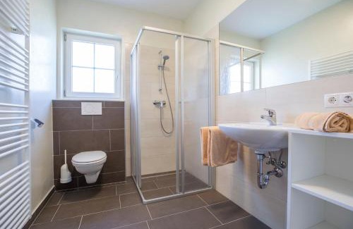 Flachau Apartment | Aparthotel Pichler