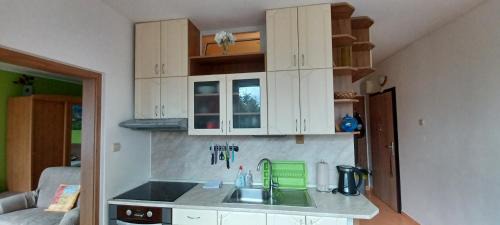 Kovacova Apartment | Apartmán Kováčová - The Apartment in spa village