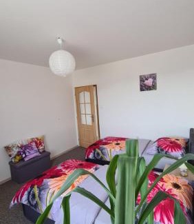 Cerna V Posumavi Apartment | Apartmán U AKVARISTY