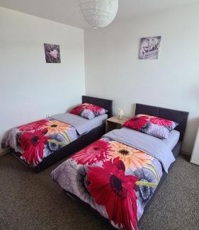 Cerna V Posumavi Apartment | Apartmán U AKVARISTY