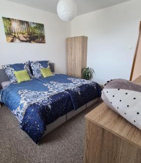 Cerna V Posumavi Apartment | Apartmán U AKVARISTY