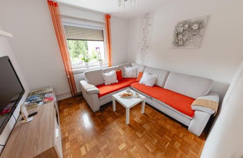 Maribor Apartment | Apartma Golob