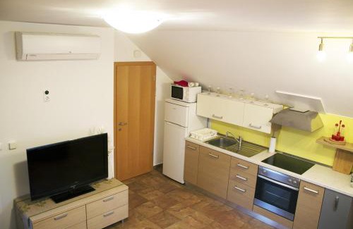 Rogaska Slatina Apartment | Apartma Pegaz