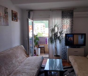 Velji Vinogradi Apartment | Apartman Budva