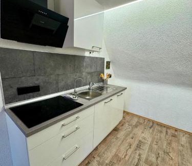 Fuerth Apartment | Apartment am Ronhof