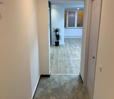 Pitesti Apartment | Apartment City Center