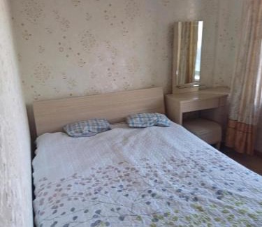Downtown Ulaanbaatar Apartment | Apartment in Ulaanbaatar, Next to Narantuul Market, ,Mongolia
