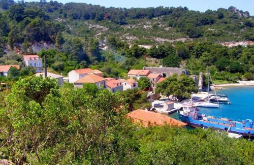 Polace Apartment | Apartments Nodilo