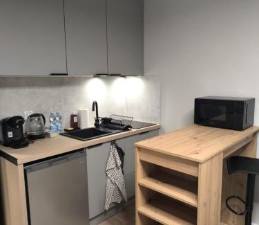 Nowe Miasto Apartment | Apartments Poznań City LOFT