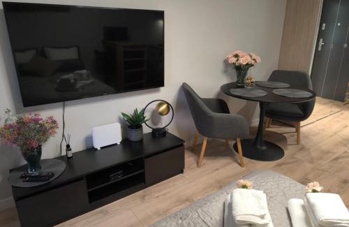 Nowe Miasto Apartment | Apartments Poznań City LOFT