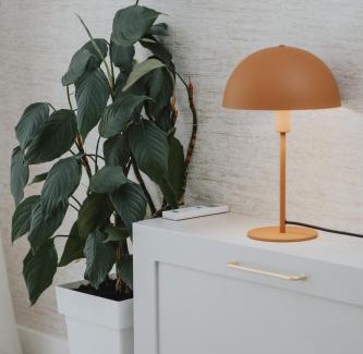 Becici Apartment | Apartments Radovic