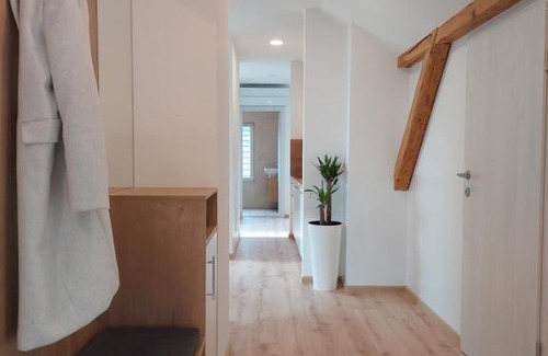 Zasip Apartment | Apartments Repinc