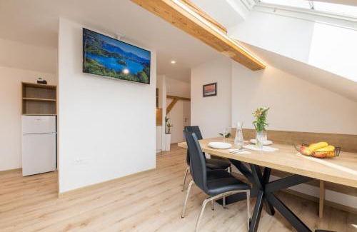 Zasip Apartment | Apartments Repinc