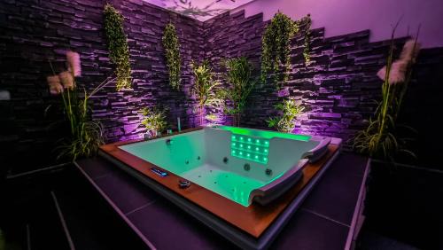 Gray Apartment | Appart' spa privatif Gray