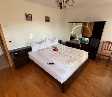 San Lorenzo in Banale Apartment | Appartamento Bosco al Sole