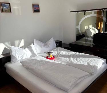 San Lorenzo in Banale Apartment | Appartamento Bosco al Sole