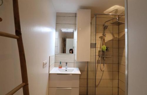 Le Grau-Du-Roi Apartment | Appartement T2 avec Terrasse et Piscine au Grau-du-Roi, Proche Mer et Commerces - FR-1-307-237