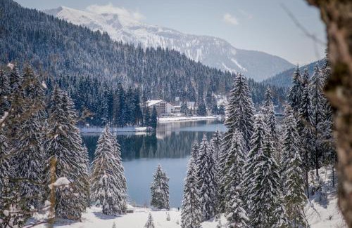 Spitzingsee Hotel | Arabella Alpenhotel am Spitzingsee, a Tribute Portfolio Hotel