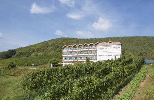 Sankt Martin Hotel | Arens Hotel 327mNN
