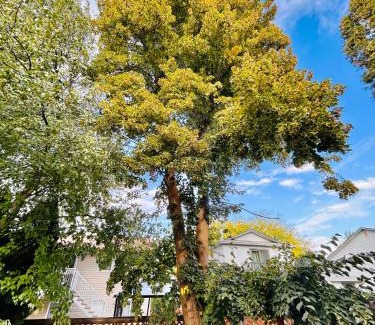North Glenmore House | Artistic and stylish english charm backyard private guest house with master bedroom and living room