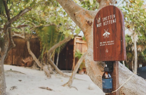 Playa Paraiso RV Rental | Astral Tulum